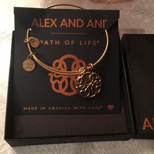 Alex And Ani bangle